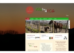 Palestradelcibo Palestradelcibo Online